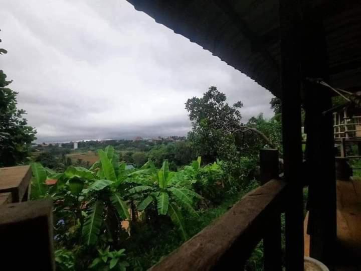 Tree Lodge Banlung Exterior foto