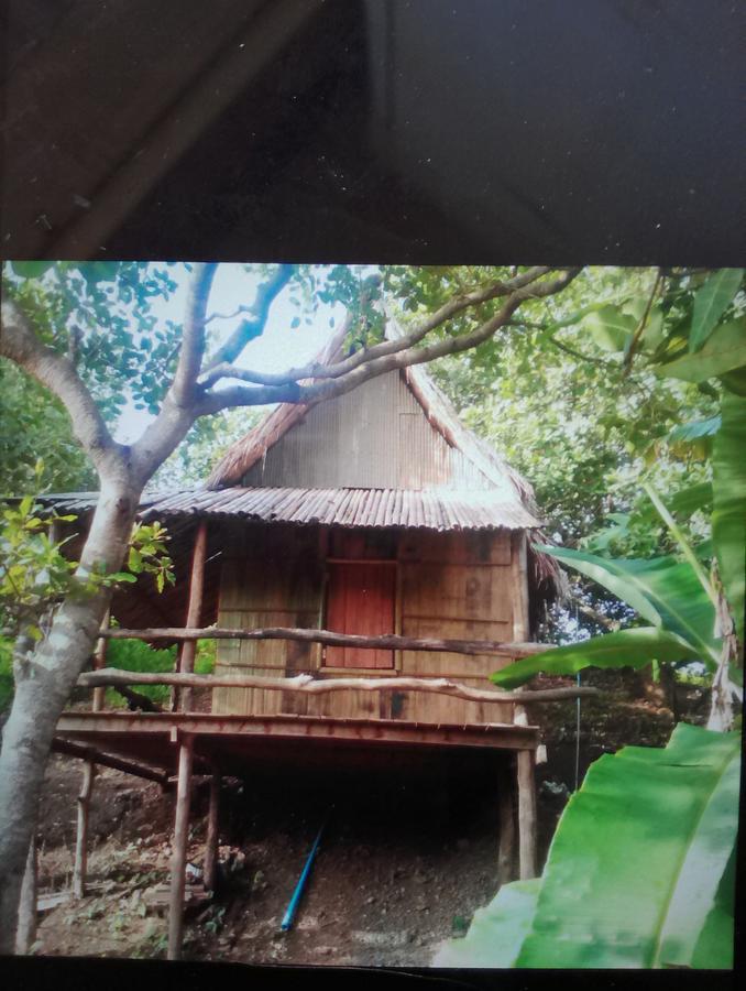 Tree Lodge Banlung Exterior foto
