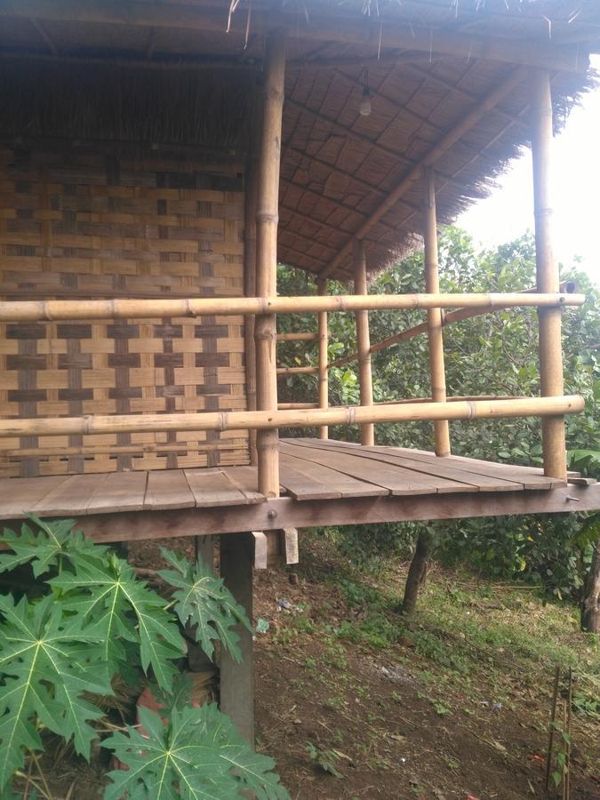 Tree Lodge Banlung Exterior foto