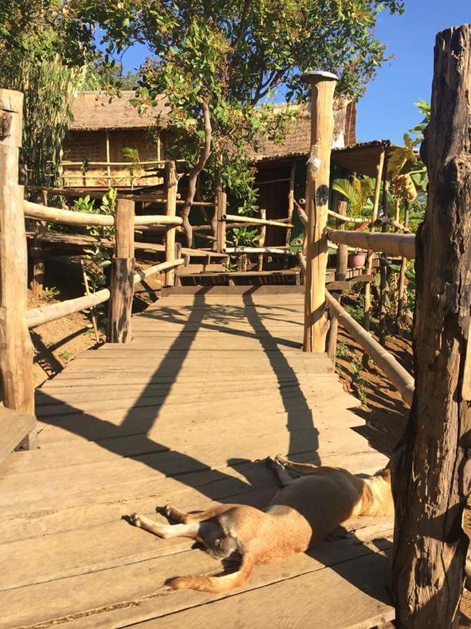 Tree Lodge Banlung Exterior foto