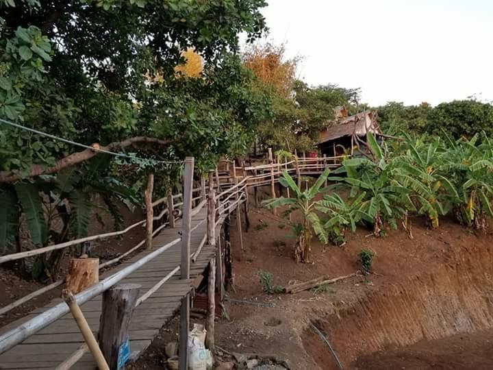 Tree Lodge Banlung Exterior foto