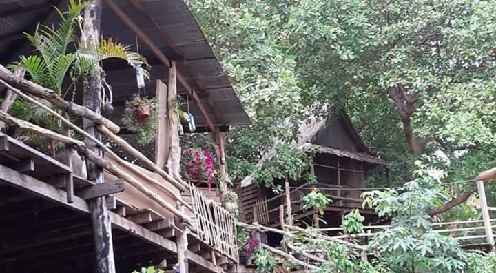 Tree Lodge Banlung Exterior foto